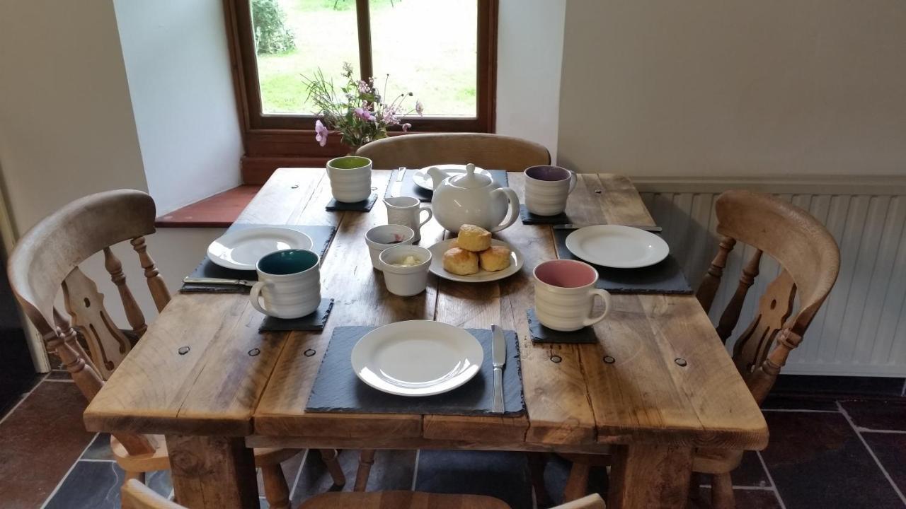 Coopers Cottage Dog Friendly North Cornwall Delabole Luaran gambar
